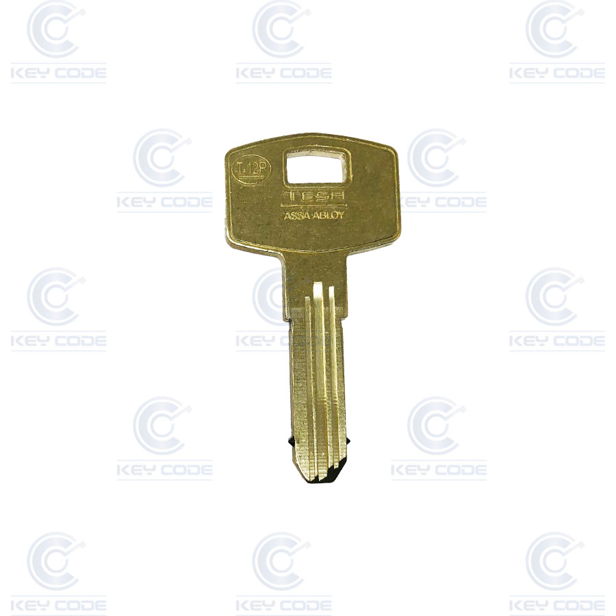 LLAVE ORIGINAL TESA T12