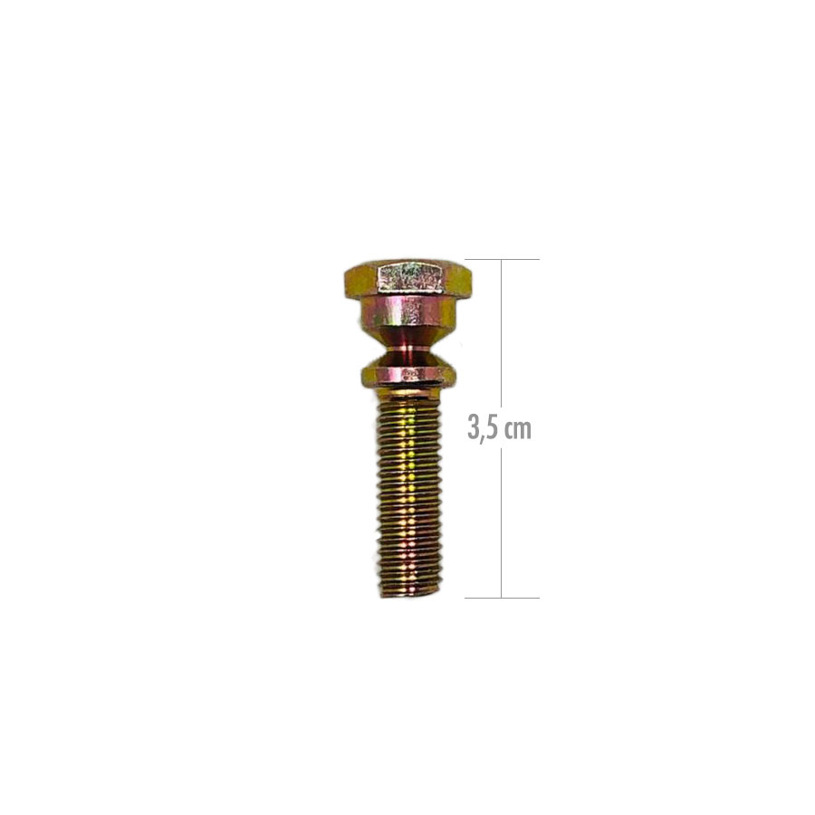 TORNILLO X1 PARA ABRAZADERAS DE SOPORTE DE CERRADURAS PSA (3,5 CM)