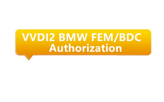 SOFTWARE BMW FEM BDC PARA VVDI2