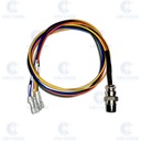 EQUIPO DE DIAGNOSTICO OBD II ON BENCH