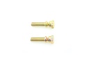 TORNILLO X1 PARA ABRAZADERAS DE SOPORTE DE CERRADURAS PSA (3,5 CM)