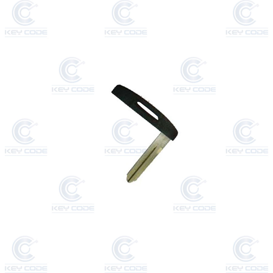 CLE POUR CARTE KOLEOS III PLATE NSN14