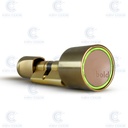 BOLD SMART LOCK SX33 - GOLD - 