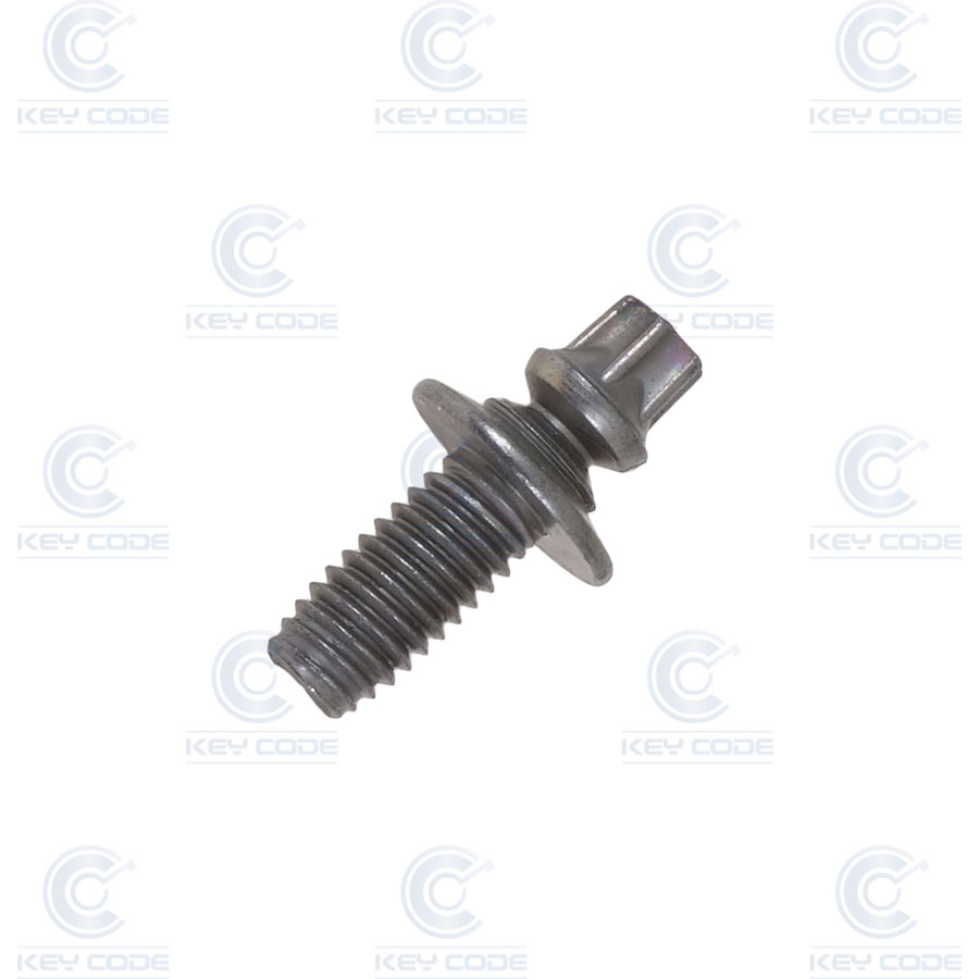 PSA SECURITY BOLT x2 PIECES (690759)