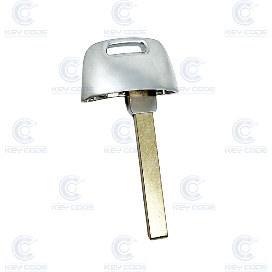 ESPADIN DE EMERGENCIA DE MANDO KEYLESS AUDI E-TRON Y TT HU162 
