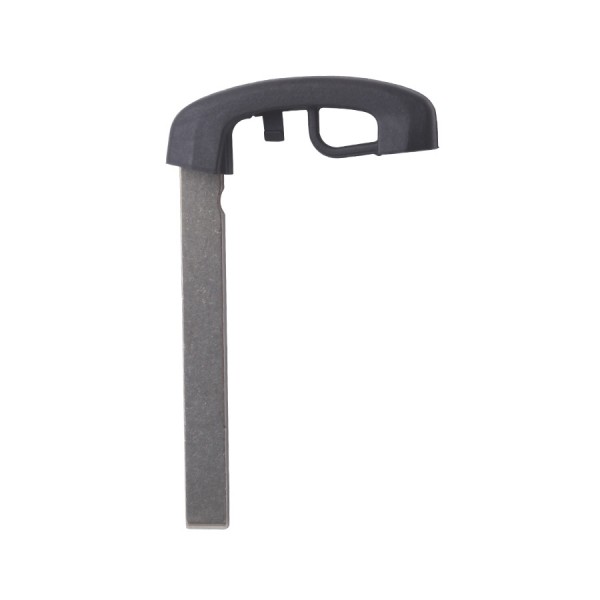 ESPADIN MANDO INTELIGENTE BMW SERIE 5 HU100R