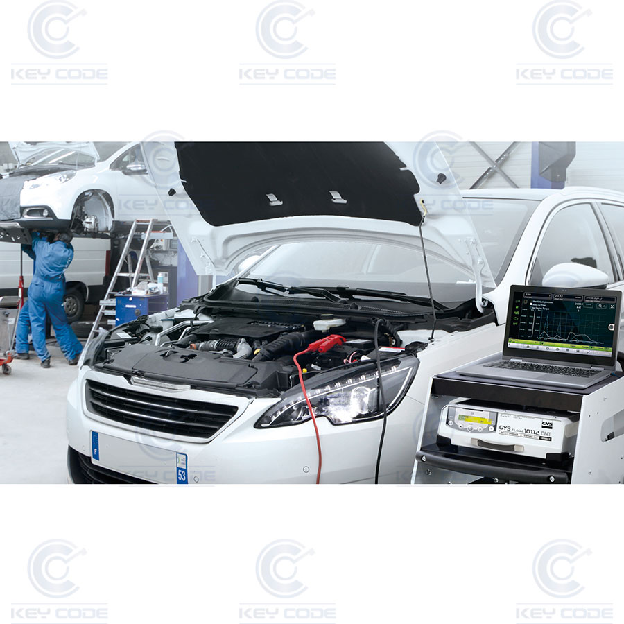 ESTABILIZADOR Y REGULADOR DE BATERIA DE COCHE DE PLOMO O LITIO DE 220V Y 100 A + CARRO XL