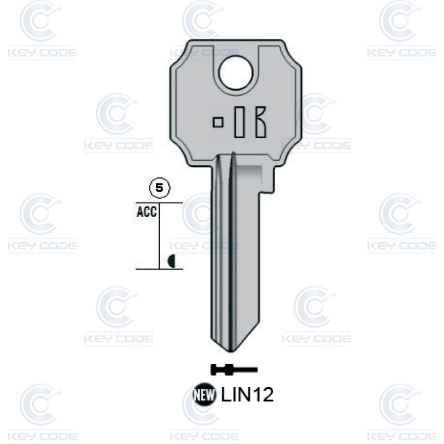 CLÉ KEYLINE LIN12 (LC12, LIN-2)