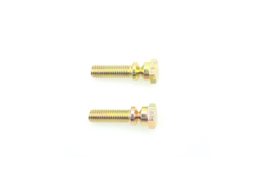 [PS100TO01-AF] TORNILLO X1 PARA ABRAZADERAS DE SOPORTE DE CERRADURAS PSA (3,5 CM)