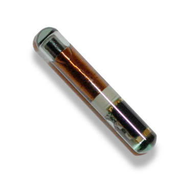 [TR4C-40] TRANSPONDER FORD PUNTO ROJO T3/TP02 4C 40 BITS