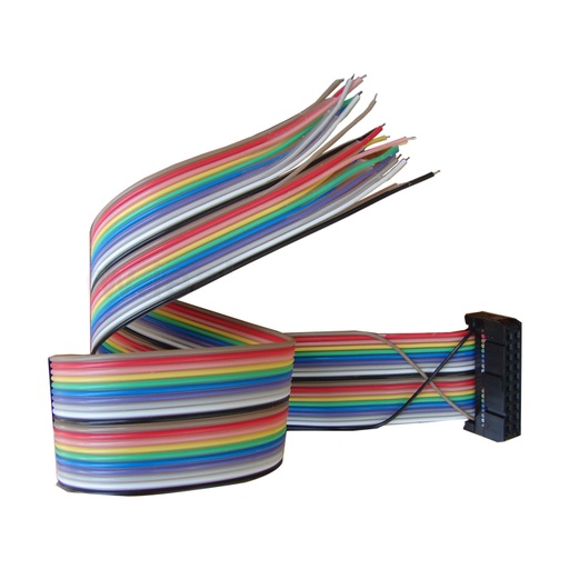 [ZFH-C08] CABO UNIVERSAL DE 20 PINOS PARA EEPROM