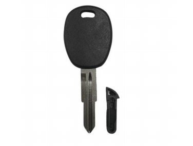 [DW4RLT02-P] LLAVE PARA TRANSPONDER DWO4R