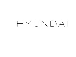 [HYPIN] Código pin Hyundai por bastidor (-2017)